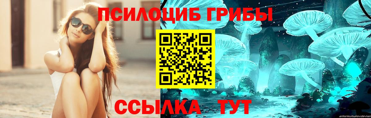 Галлюциногенные грибы мухоморы Калуга